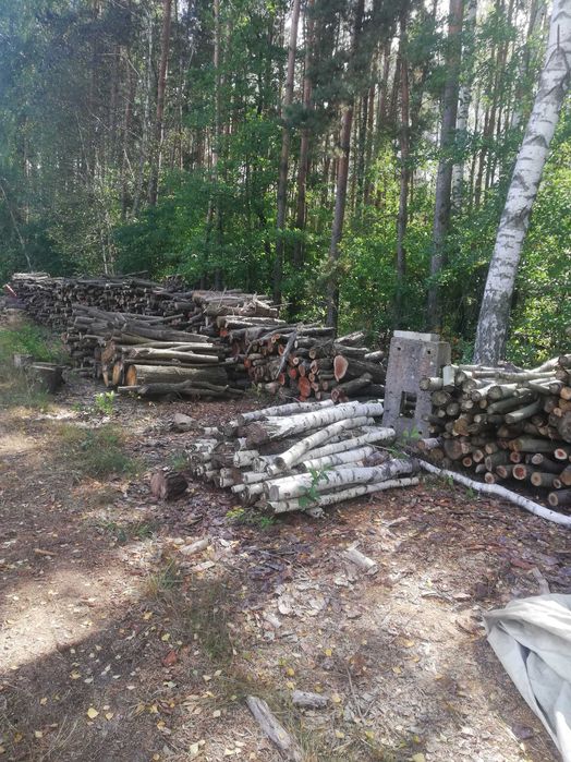 Drzewo drewno opałowe sosna 250zł kominkowe dąb akacja  brzoza