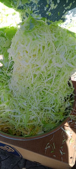 Продам квашену капусту вирощену та перероблену у власному господарстві