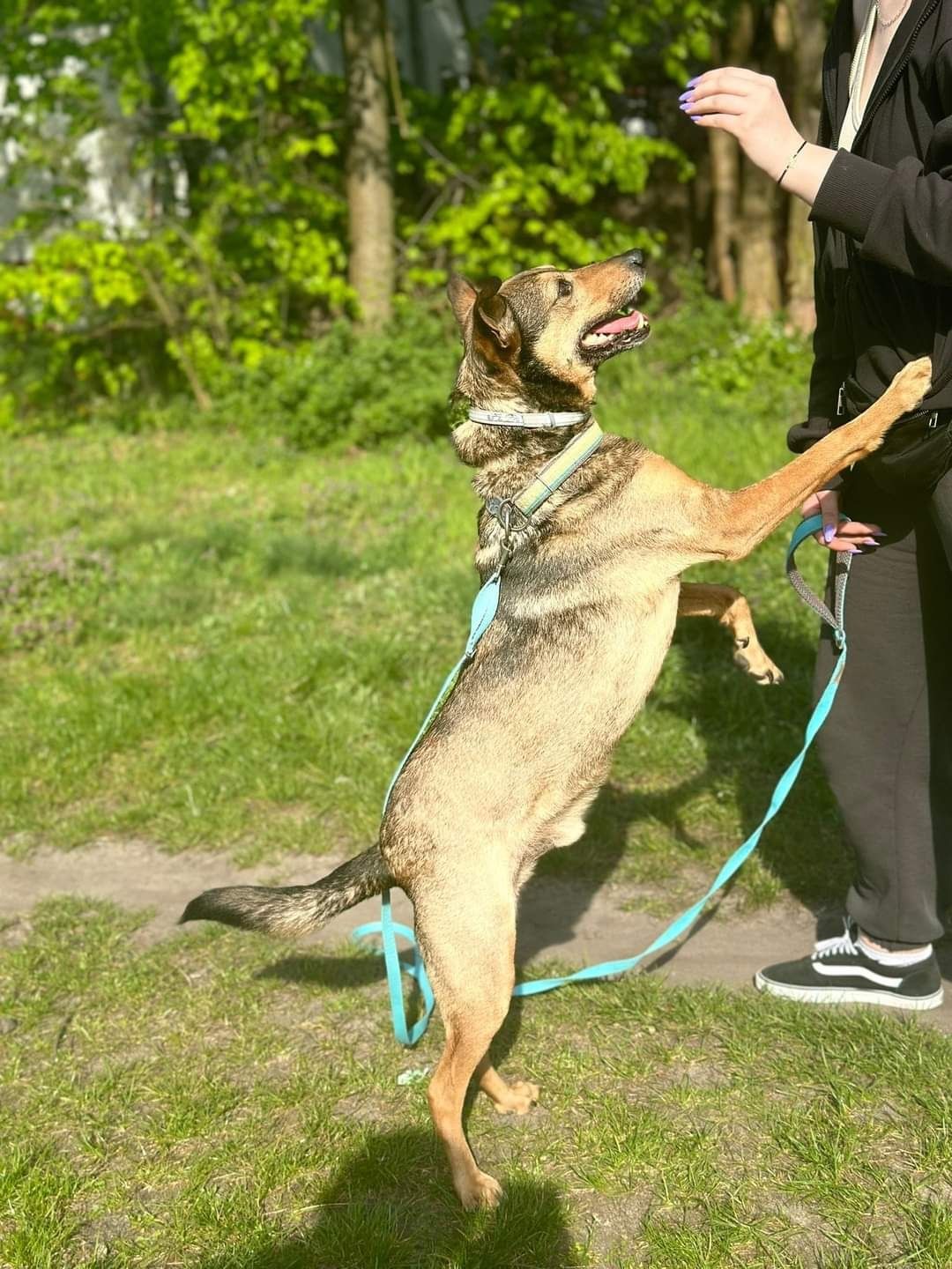 Od czterech lat bezdomny. Kto pokocha?