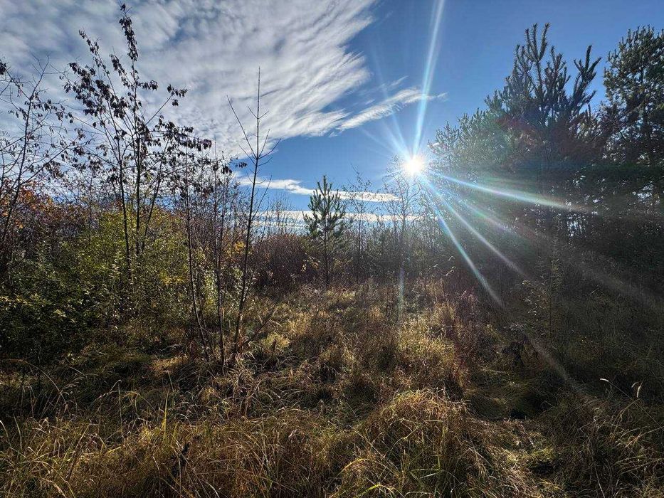 Продається  ділянка в с.Жорниська біля с.Домажир, 95 сот, промзона