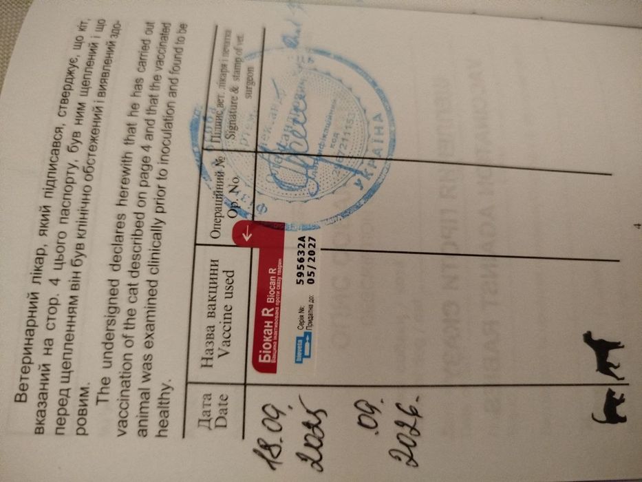 Французький бульдог