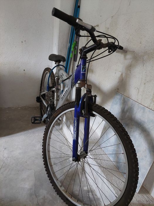 Bicicleta de Adulto