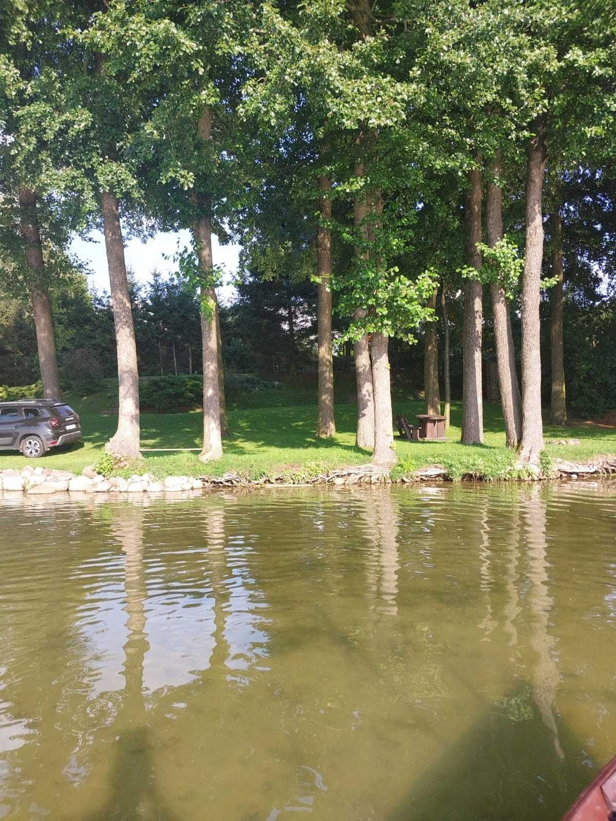 Pole namiotowe/kempingowe nad jeziorem Sasek Wielki