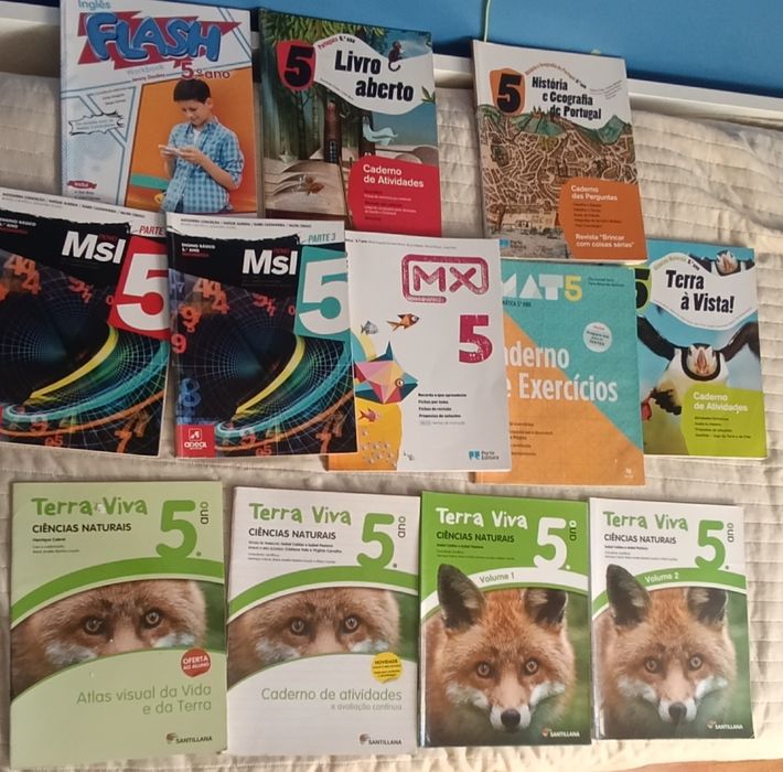 Livros escolares livros de fichas