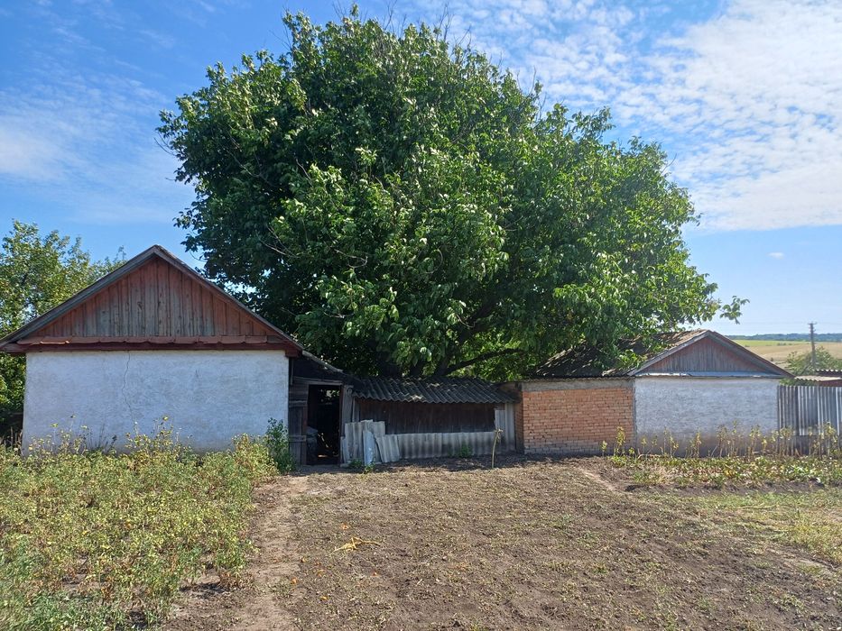 Продам будинок в селі Червона Поляна