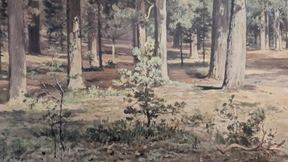 Obraz "Las sosnowy" Iwan Szyszkin