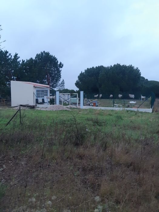 Tenho 2 lotes terrenos venda