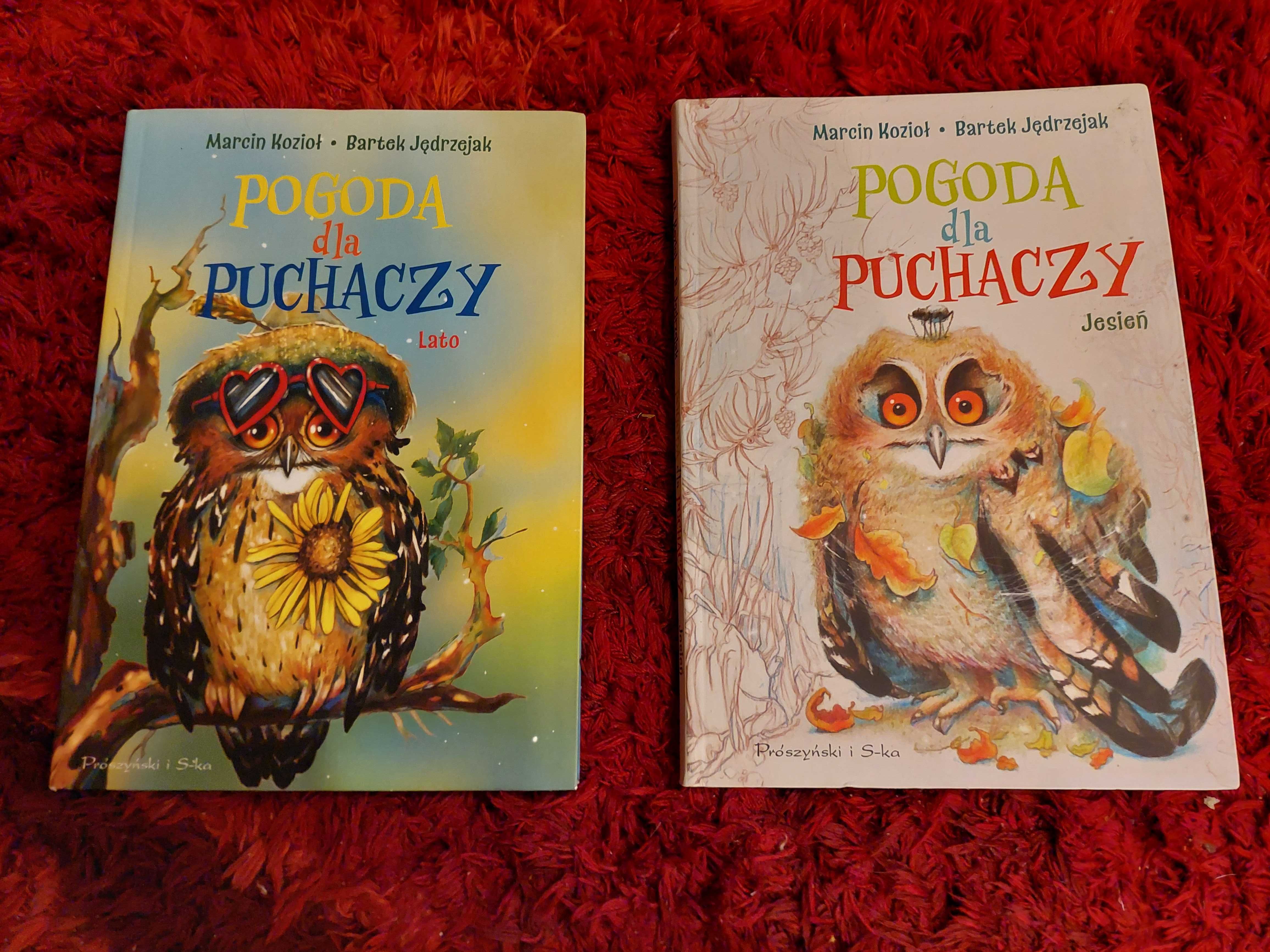 Książka /Pogoda dla puchaczy/JESIEŃ /Kozioł/Jędrzejczak  JAK NOWA