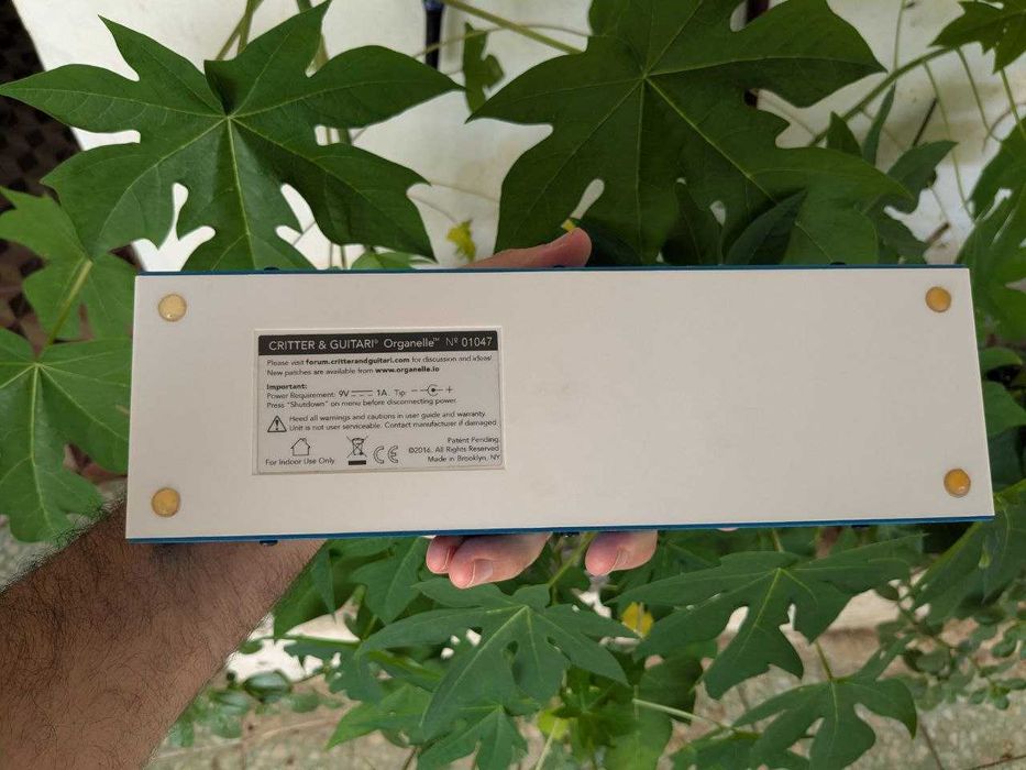 Critter & Guitari - Organelle - V1