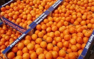 Мандарин клементин