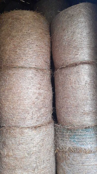 Słoma i siano w belach zbiory 2025