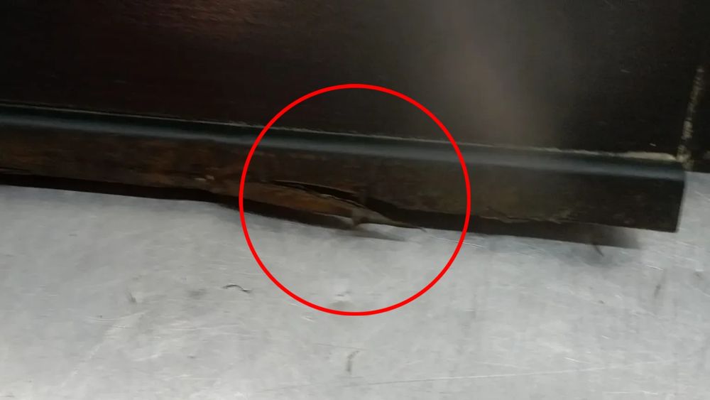 Embaladeira esquerda CITROËN C3 III (SX)