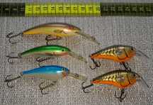 Woblery rapala tail dancer, clackin crank i inne
