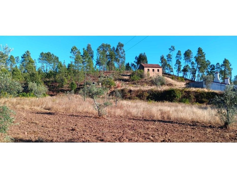 Arrendamento de Construção Rural com Terreno Rústico - Castelo de M...