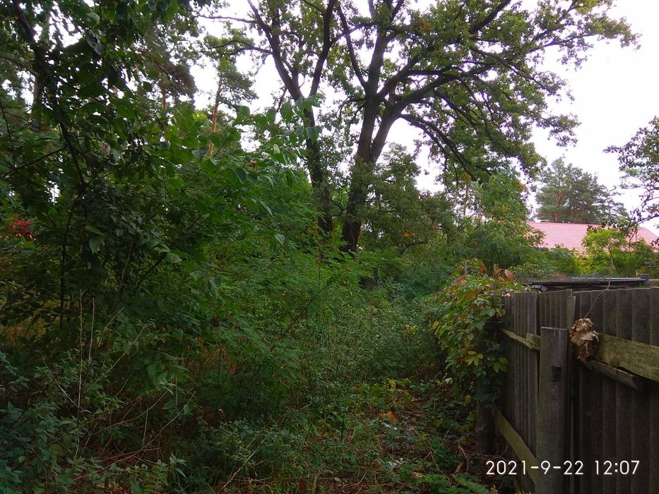 Продам ділянку в Бучі Лісовій від хазяїна!!