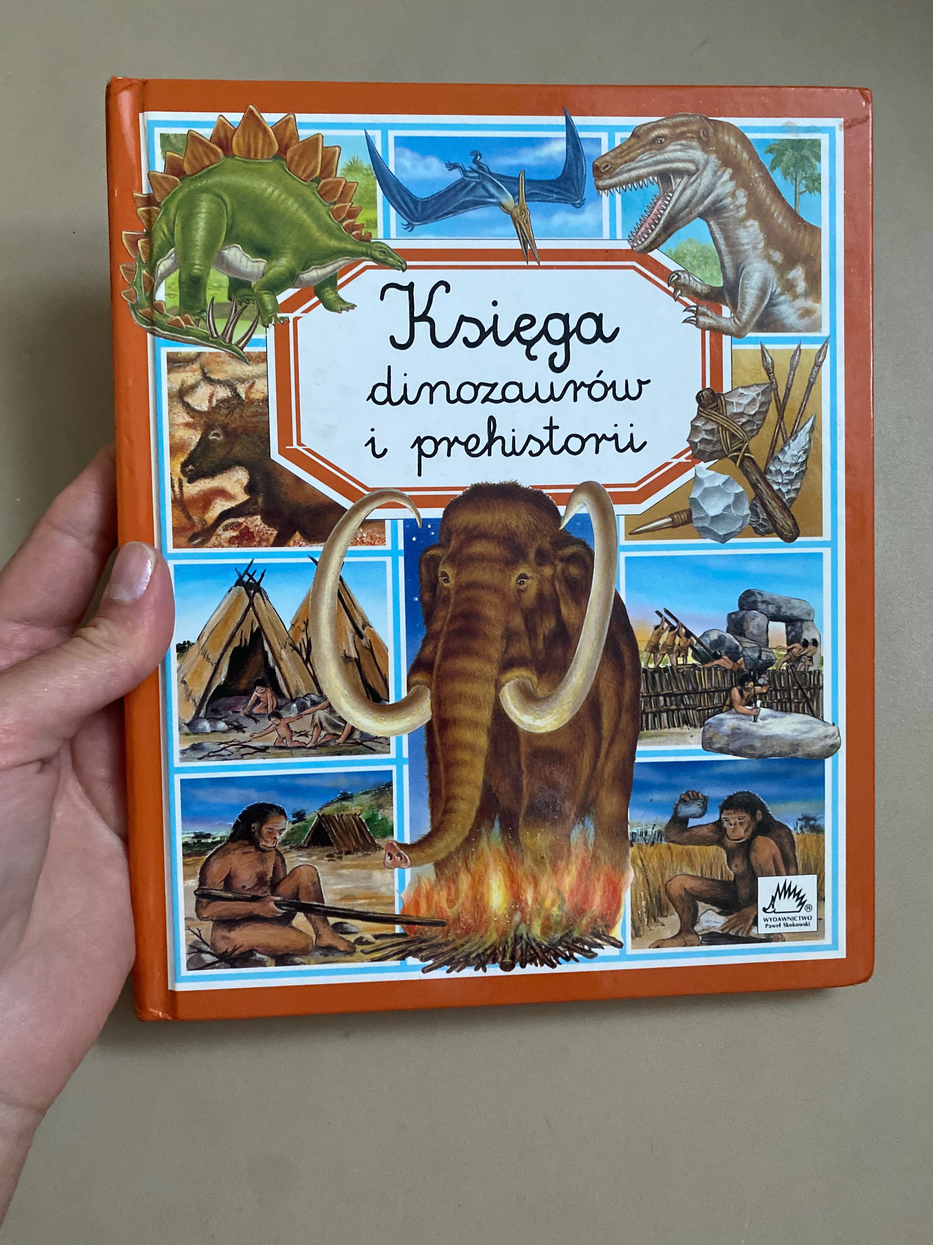 Książka dla dzieci Świat w obrazkach Księga dinozaurów i prehistorii