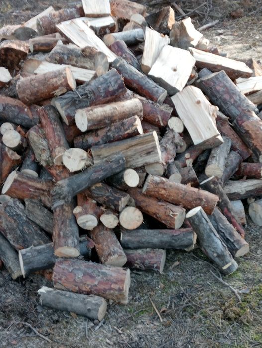 Drewno opałowe sosnowe-suche, z transportem