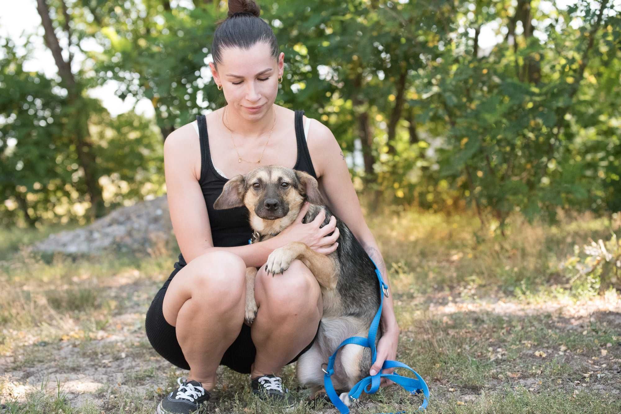 Wercia – psie dziecko, które dopiero zaczyna poznawać świat