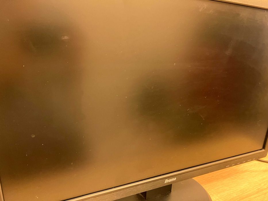 Monitor iiyama 24 cale PL2483H