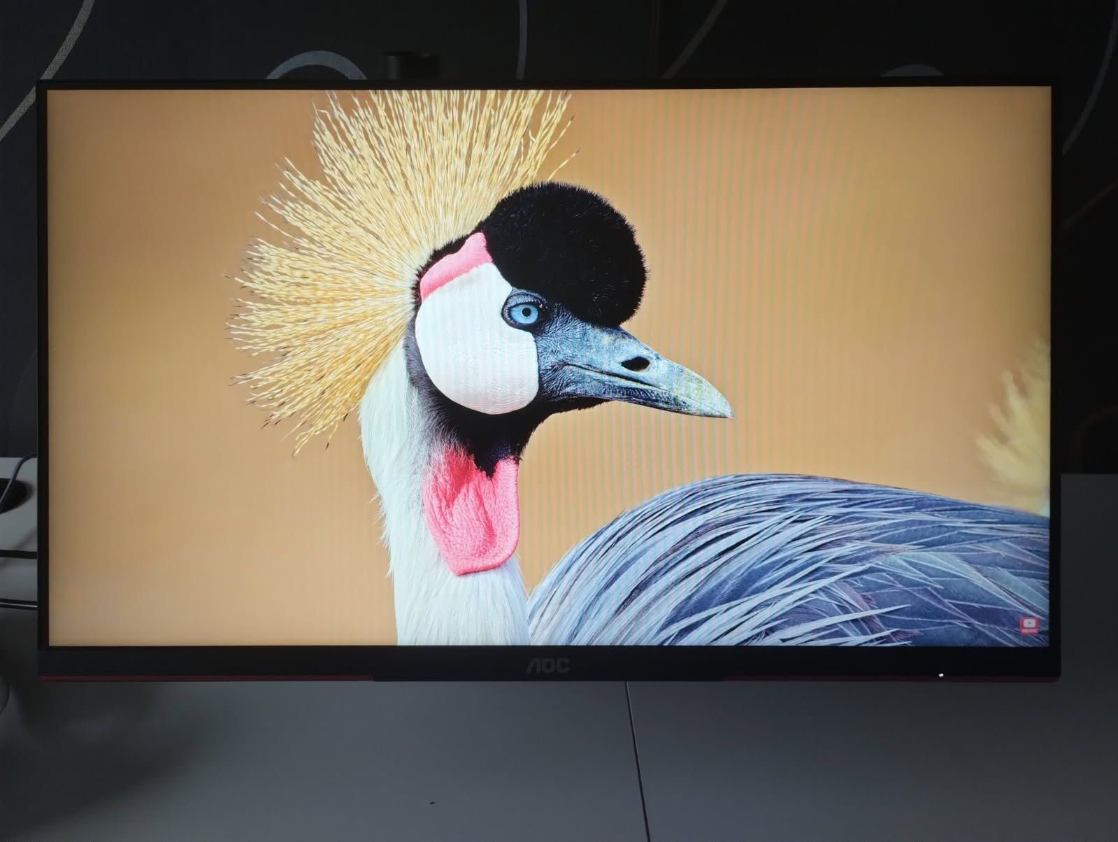 Monitor AOC 25G3ZM na gwarancji