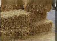 Тюки солома пшенична