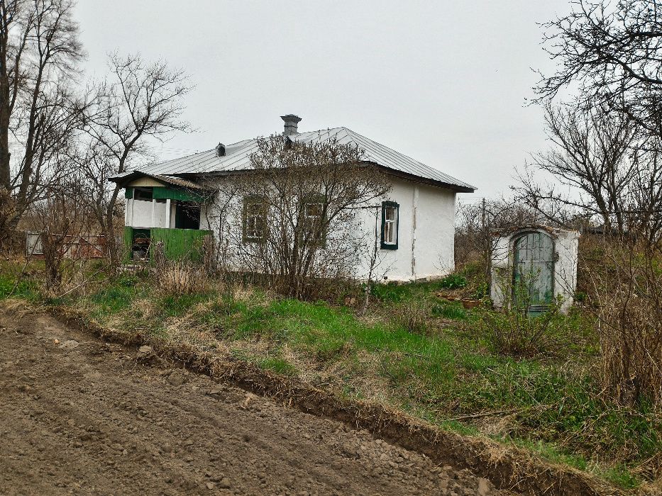 Дом и земля 25 соток. Село Прохоры, Черниговская область