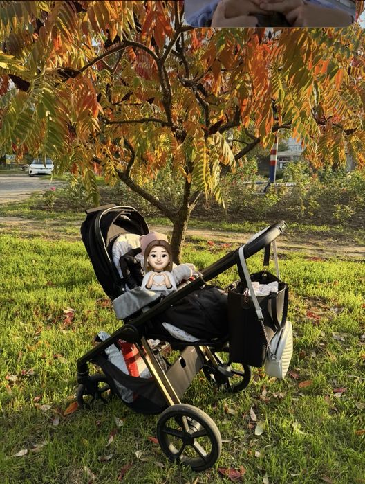 espiro miloo и автокресло maxi cosi pebble pro