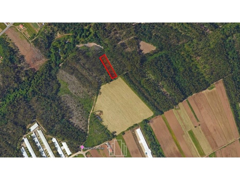 Terreno Rústico - São João, Ovar