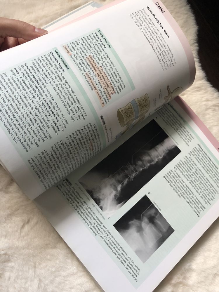 Anatomia Gray tom 2 książka