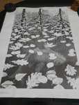 Reprodução d quadro Three Worlds de M.C. Escher novo ainda no plástico