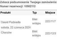 Bilety Dawid Podsiadło Chorzów 22.06.2024 sektor 22D
