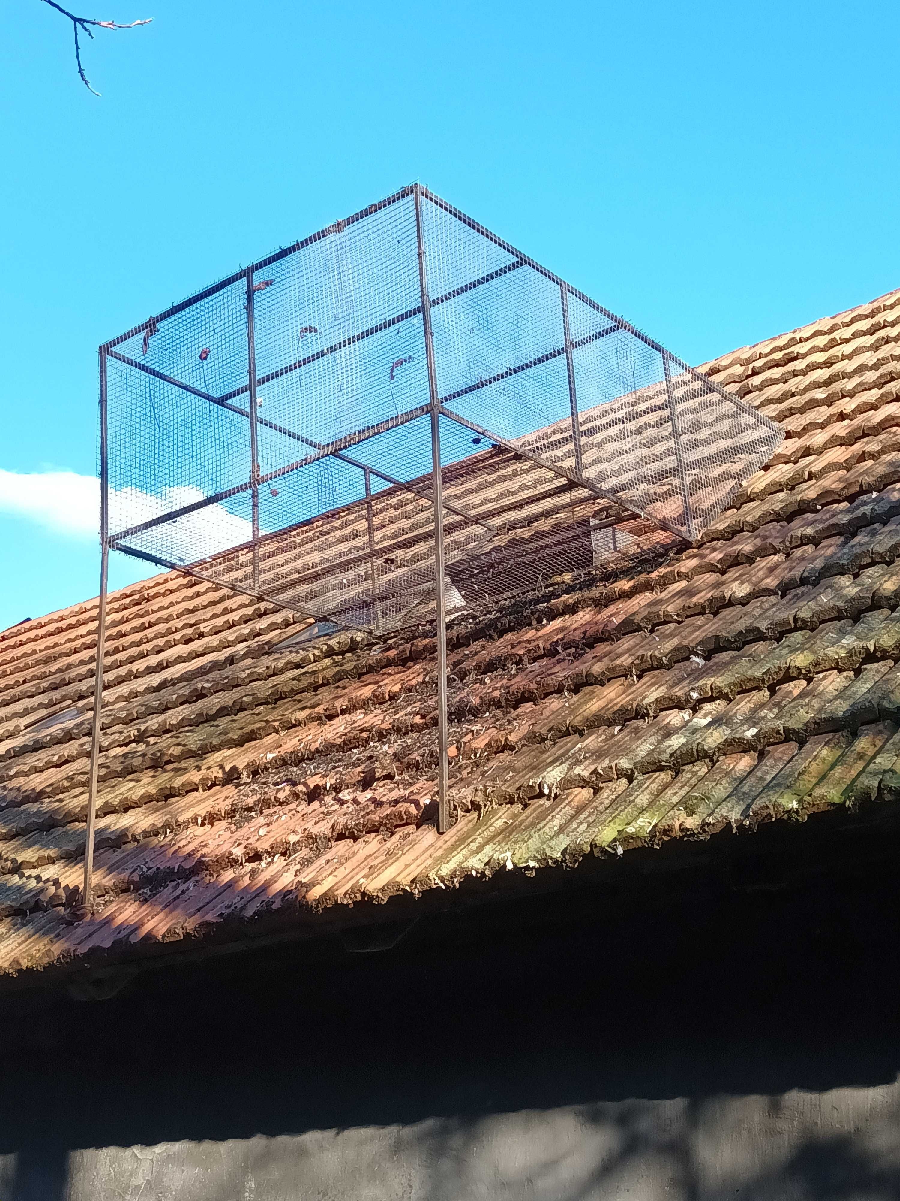 Woliera krata na dach dla gołębi