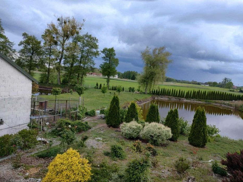 Domek turystyczny