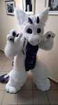 Furry fursuit kostium