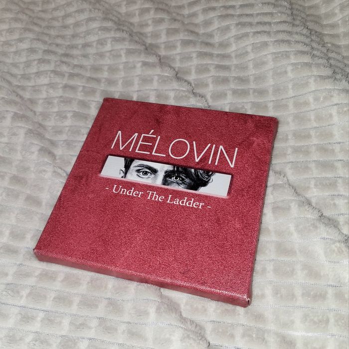 арт-холст melovin