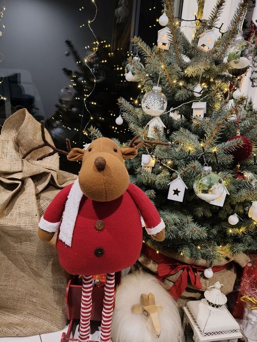 Domek z ogrodem  na wyłączność QUADY/ROWERY/TĘŻNIA/BASEN/GORĄCA BANIA