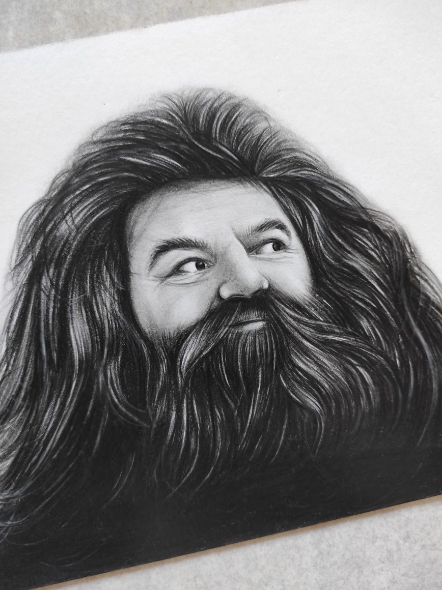 Rysunek Hagrid Portret Harry Potter Prezent