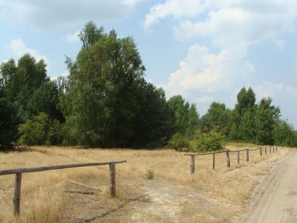 Działka budowlano-rolna Boska Wola koło Warki