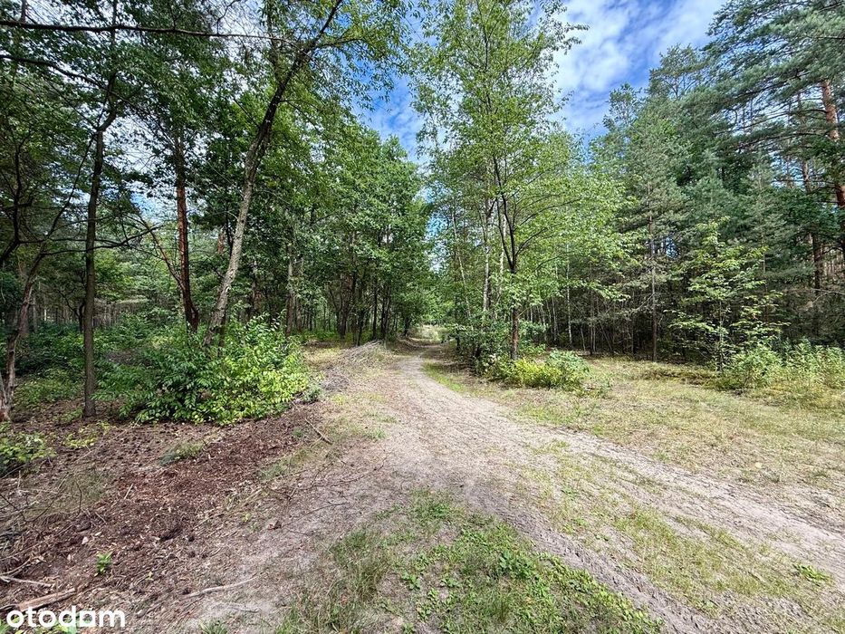 Wyjątkowa działka w Józefowie 200 metrów od rzeki Świder