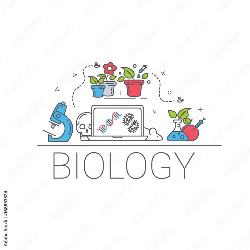 Korepetycje z biologii, przygotowanie do matury rozszerzonej