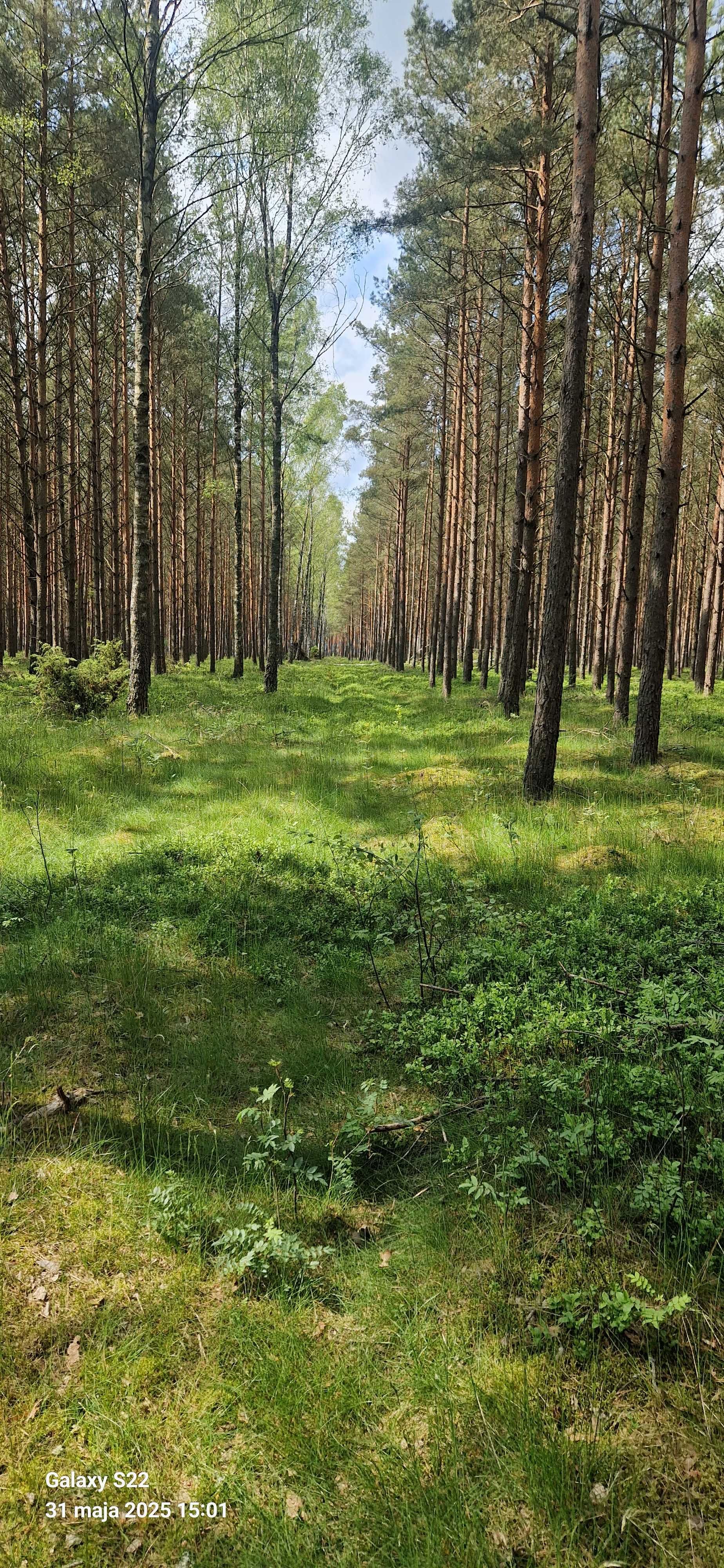 Dom całoroczny, 9 os., wakacje nad jeziorem