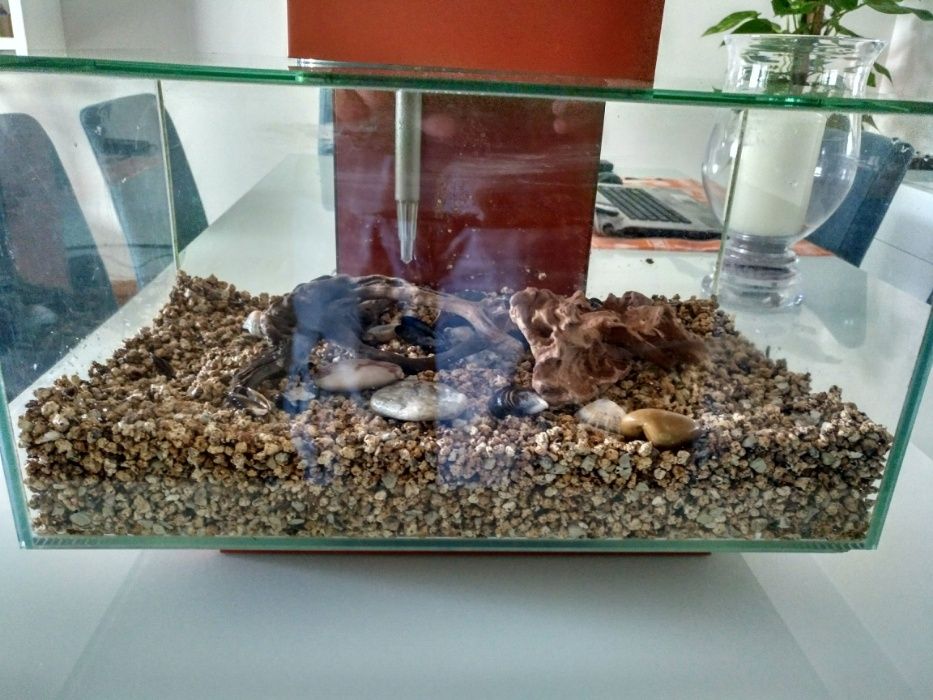 Aquário Fluval 23 Litros