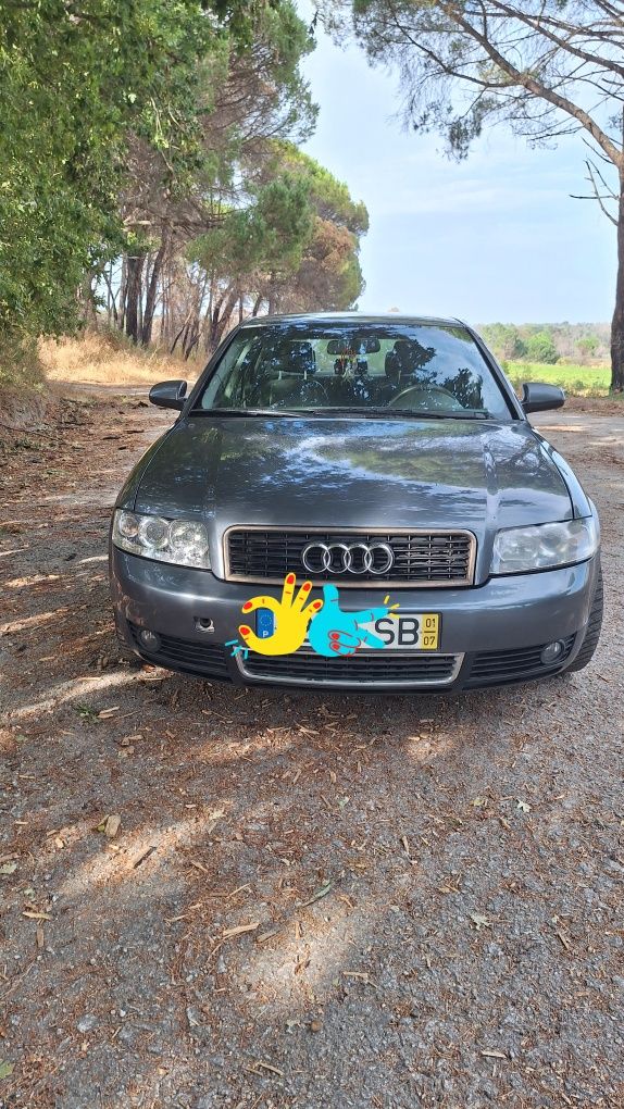 Audi A4 B6 1.9 TDI 130cv