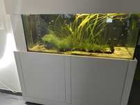 Aquario com movel e sistema de filtragem