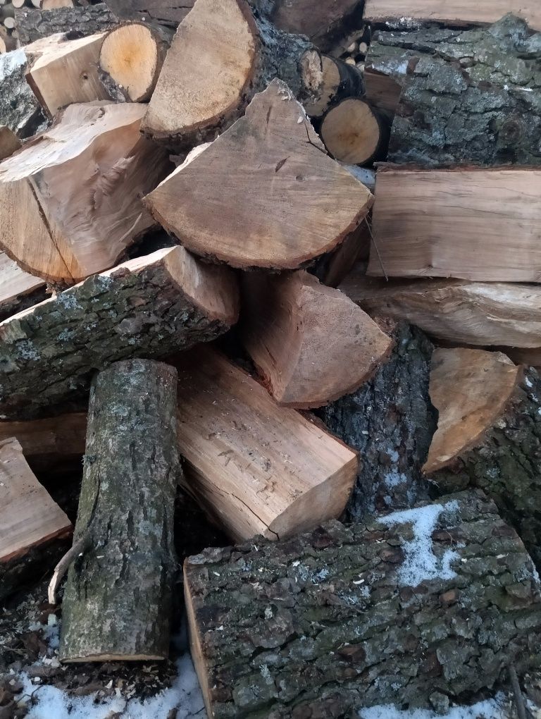 Drewno opałowe olcha