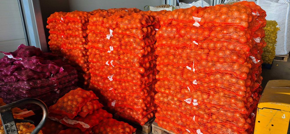 CEBULA żółta, czerwona