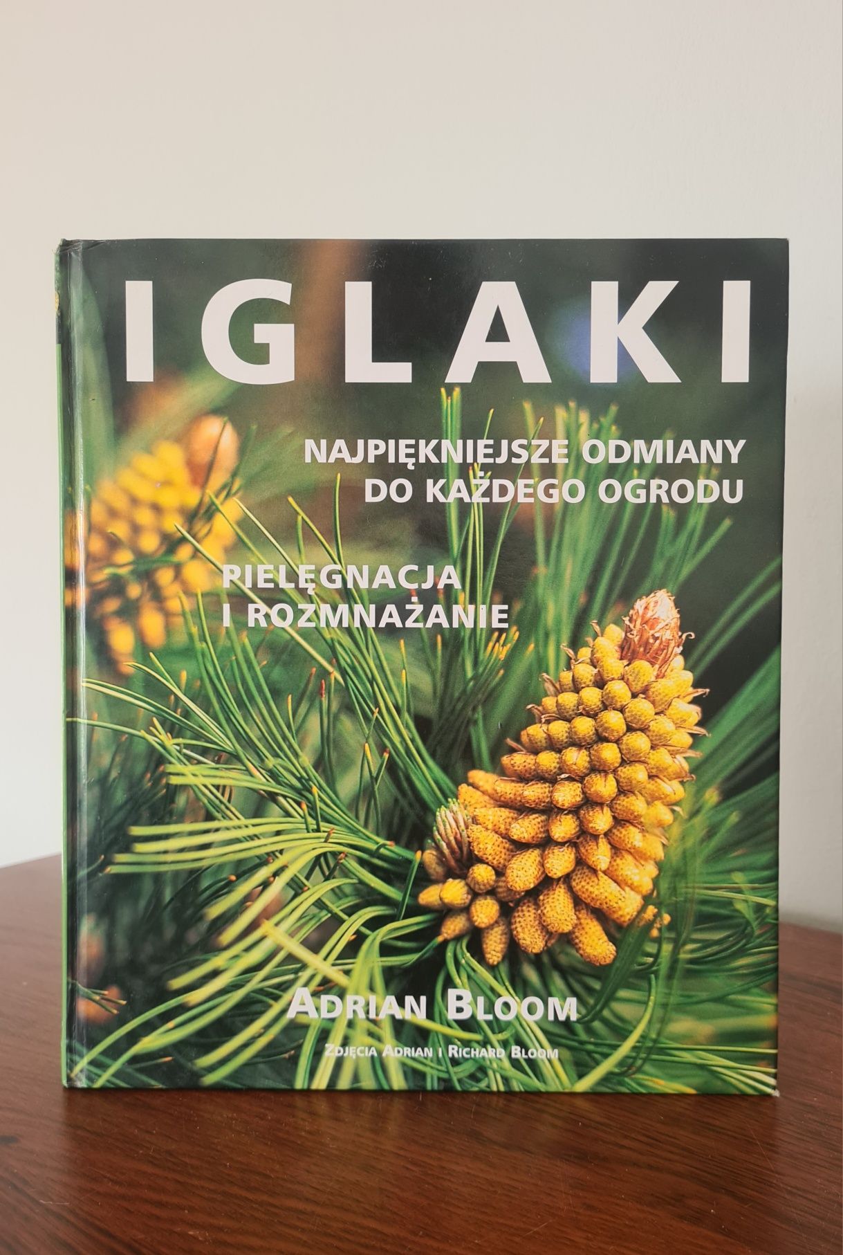 Iglaki - Adrian Bloom. Książka