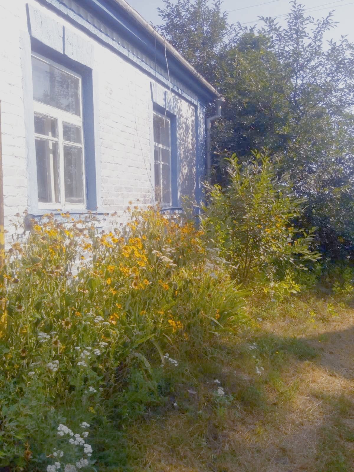 Продам будинок .