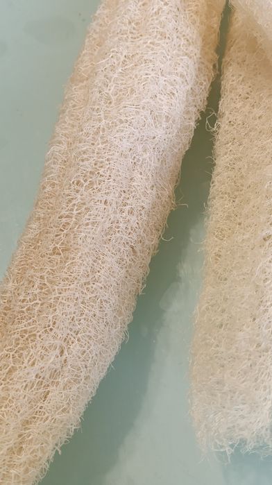 Люфа еко-мочалка, насіння