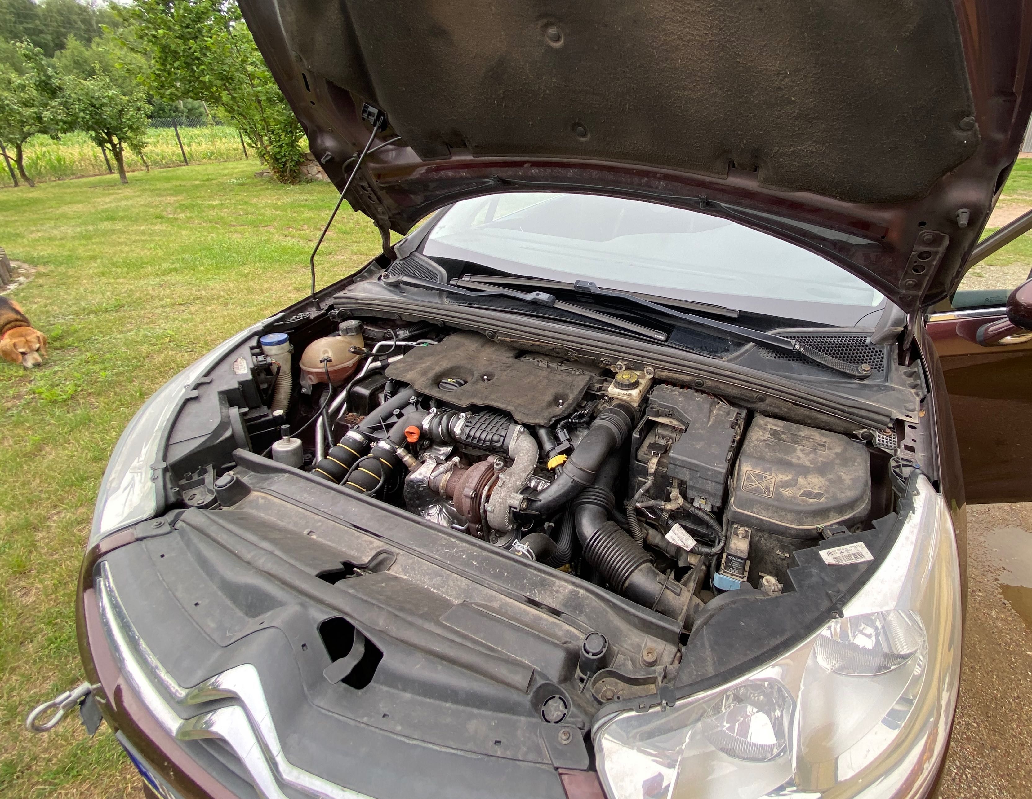 Citroen C4 Exclusive